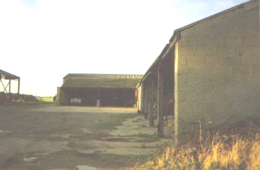 The sheds