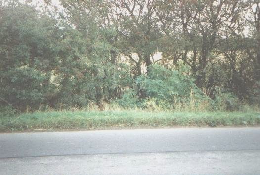 The spot where Adam left the road.