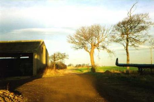 The yard at Owstwick